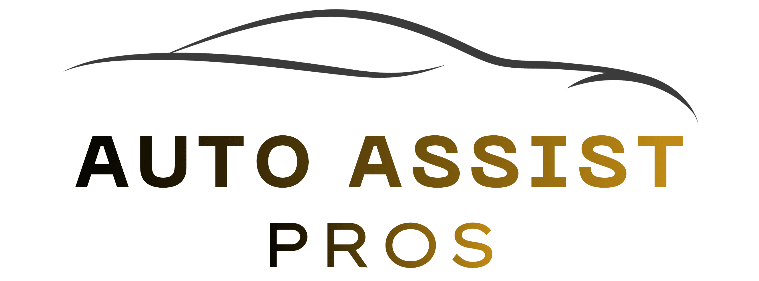 Auto Assist Pros